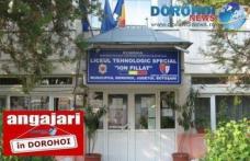 Școala „Ion Pillat” Dorohoi organizează concurs pentru două posturi de îngrijitor și un post de șofer. Vezi detalii!