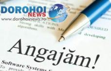 Primăria Botoșani face noi angajări. Vezi ce locuri de muncă vacante sunt în județ!