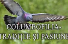 Muzeul de Științele Naturii Dorohoi găzduiește expoziția temporară „Columbofilia – tradiție și pasiune”