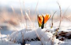 Val de AER POLAR peste România. Prognoza meteo a fost revizuită. Cum va fi vremea până pe 1 aprilie