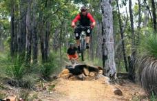 Cupa Moldovei MTB- cel mai ambițios proiect de ciclism din România în 2019