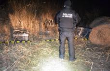 Focuri de armă la frontiera de est pentru reţinerea ţigărilor de contrabandă - FOTO