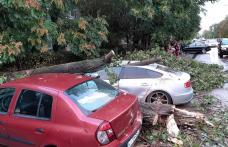 Fenomene meteo extreme în țară: Imagini incredibile la Constanța, copii luați de ape în Prahova și Tulcea, trafic blocat pe Transalpina - FOTO