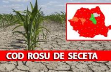 COD ROȘU de secetă în România! ANM anunță caniculă severă și fenomene extreme