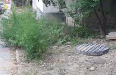 Primim la redacție – „De 20 de ani, niciodată nu s-a tăiat și aici iarba” - FOTO