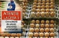 Ouale inscriptionate cu cifra 3 vor fi interzise - afla de ce