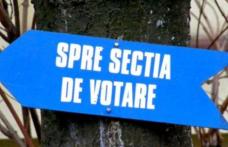Alegeri prezidențiale 2019: Vezi care este delimitarea și numerotarea secțiilor de votare din municipiul Dorohoi