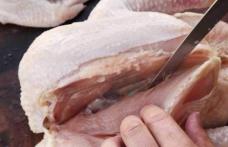 Alertă în ţară! Carne de curcan din focarele de gripă aviară au ajuns în farfuriile românilor