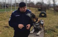 Prieteni până la sfârșit - Obiva a fost „trecută în rezervă” - FOTO