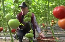 Lucian Trufin: „Cultivatorii de tomate din Botoșani sunt duși cu zăhărelu’ de Guvernul liberal”