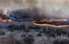 Incendiu în zona radioactivă de la Cernobîl! ANM: Norul de fum nu va ajunge în România
