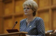 PRO România solicită măști gratuite pentru fiecare român și prezentarea unei strategii reale și coerente a Guvernului