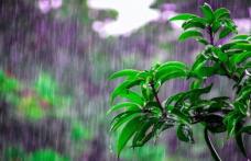 Prognoza meteo luna iunie 2020. Se schimbă vremea în toată țara. Val de frig