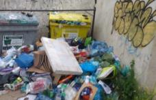 Botoșaniul merită mai mult decât pot oferi aleșii din fruntea Municipiului și a Consiliului Local! - FOTO