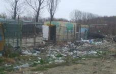 Ador refuză să conducă un lagăr de exterminare dar acceptă să folosească noul padoc pentru sterilizări