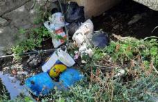 Primim la redacție – Gunoaie aruncate de „oameni civilizați” la Dorohoi - FOTO