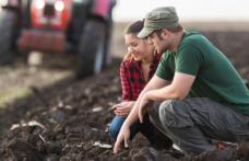 Tinerii fermieri vor putea concesiona de la stat 50 de hectare de teren