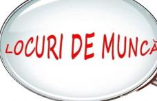 869 locuri de muncă puse la dispoziție de agenți economici în județul Botoșani în această săptămână