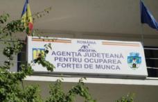 Întreprinderile sociale pot obține atestatul de întreprindere socială de la AJOFM Botoșani