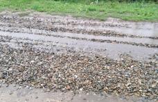 Primim la redacție – „Așteptăm să trimiteți un utilaj să îndrepte strada Oituz și apoi să puneți balastru!” - FOTO
