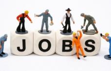 68 locuri de muncă vacante în rețeaua EURES