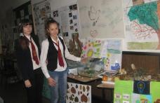 Săptămâna educației globale la Școala nr.5 „Spiru Haret”, Dorohoi