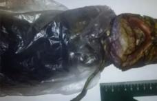 Şocant: O femeie ar fi ţinut un extraterestru în frigiderul ei timp de doi ani