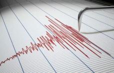 Cutremur cu magnitudinea de 3,2 pe Richter, miercuri seară, în Vrancea