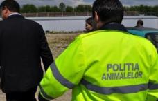 Atribuțiile polițiștilor din cadrul Poliției pentru Protecția Animalelor