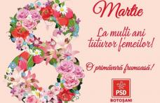 Organizaţia Femeilor Social Democrate din Botoșani - Un 8 Martie altfel - FOTO