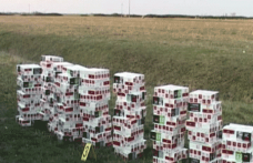 Ţigări în valoare de 145.000 lei descoperite la Româneşti
