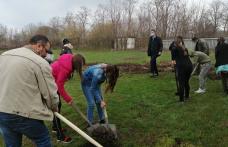„UN POM – O VIAȚĂ” - activitate în comuna Viișoara - FOTO