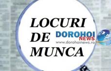 873 locuri de muncă vacante în județul Botoșani în această săptămână