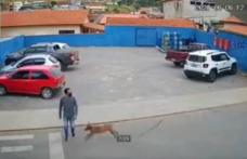 De-a râsul-plânsul! Tânăr lovit pe trecerea de pietoni de un câine care alerga - VIDEO