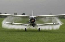 Atenţie, Primăria Dorohoi a demerat o campanie dezinsecţie! Se stropeşte din avion împotriva insectelor!