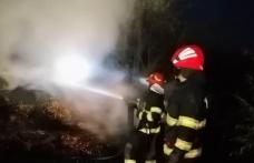 Adăpost de animale și aproximativ 15 tone de furaje distruse de un incendiu la Flămânzi - FOTO