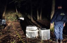 Peste 6.000 de pachete de țigări de contrabandă, descoperite de polițiștii de frontieră botoșăneni