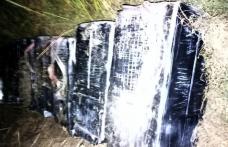 Peste 12.000 de pachete de ţigarete de contrabandă descoperite de poliţiştii botoşăneni