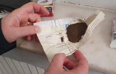 S-a prezentat la controlul de frontieră având în rucsac o cutie cu substanţă vegetală interzisă - FOTO
