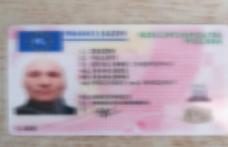Permis de conducere polonez fals descoperit la controlul de frontieră de polițiștii botoșăneni