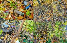 Primim la redacție – Natura şi educaţia sunt asemănătoare - FOTO