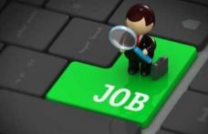 924 de locuri de muncă vacante, prin AJOFM, pe piața muncii din județul Botoșani