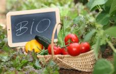 Ce proprietăți trebuie să aibă, de fapt, un produs bio