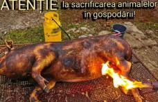 Sfaturi de la pompieri pentru prevenirea evenimentelor neplăcute pe timpul sacrificării porcilor