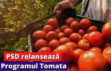 Lucian Trufin: „Relansarea Programului Tomata - Sprijin concret și predictibilitate pentru legumicultorii botoșăneni!”