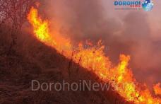 Incendiu de vegetație izbucnit la Văculești. Pompierii dorohoieni au intervenit de urgență - FOTO
