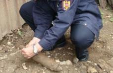 Muniţie neexplodată, găsită la rădăcina unui copac