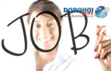561 locuri de muncă vacante în judetul Botoșani la sfârșitul lunii ianuarie