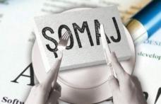 AJOFM Botoșani: Detalii referitoare la acordarea indemnizației de șomaj tehnic pentru luna ianuarie 2022!