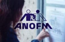 Informații privind cetățenii ucraineni care doresc să se angajeze pe teritoriul țării noastre